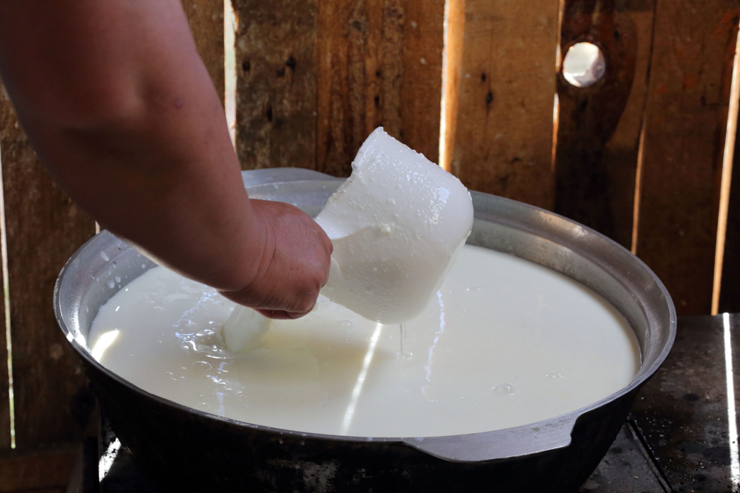 Yoghurt - Mongolian dairy products