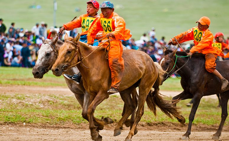 Young jockeys heading for the finish line of one of Mongolia's horse racing competitions during the Naadam Festival