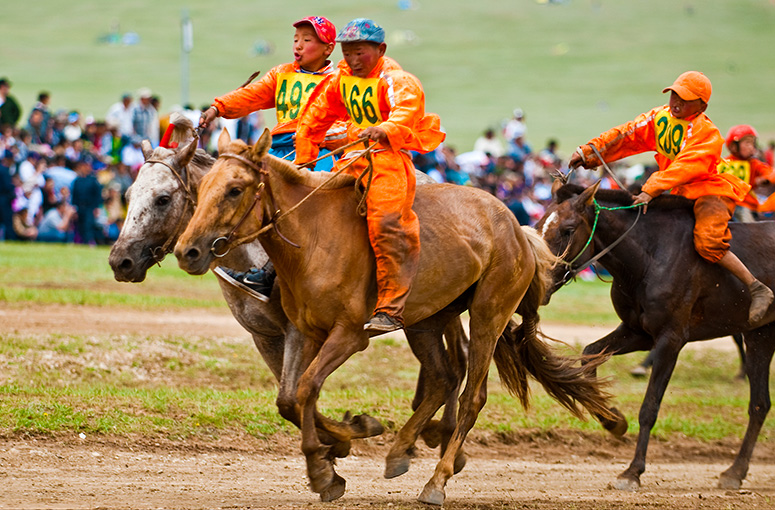 Young jockeys heading for the finish line of one of Mongolia's horse racing competitions during the Naadam Festival