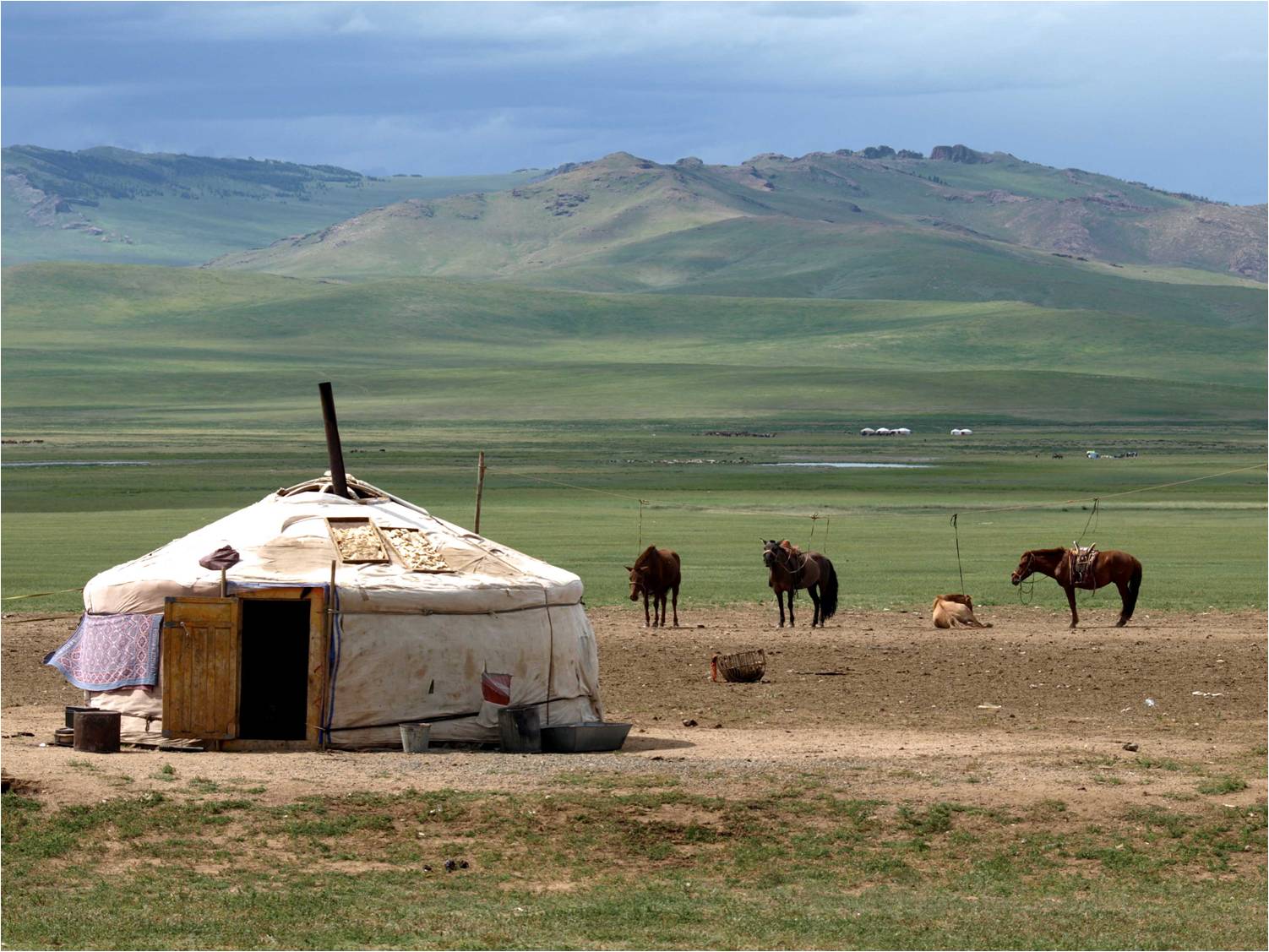 A Mongolian ger in summer in our guide to the best time to travel to mongolia
