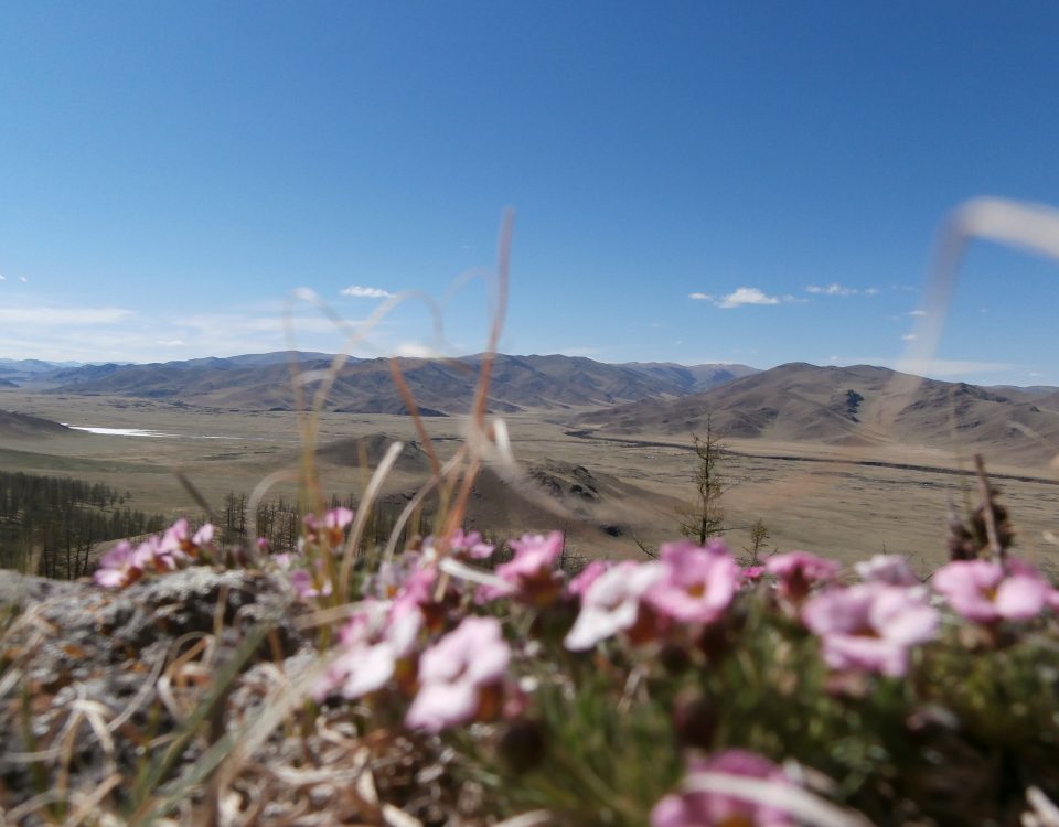 Experience spring in Mongolia in the the Orkhon River Valley, Mongolia. This vast landscape is part of one of Mongolia's four UNESCO World Heritage Sites.