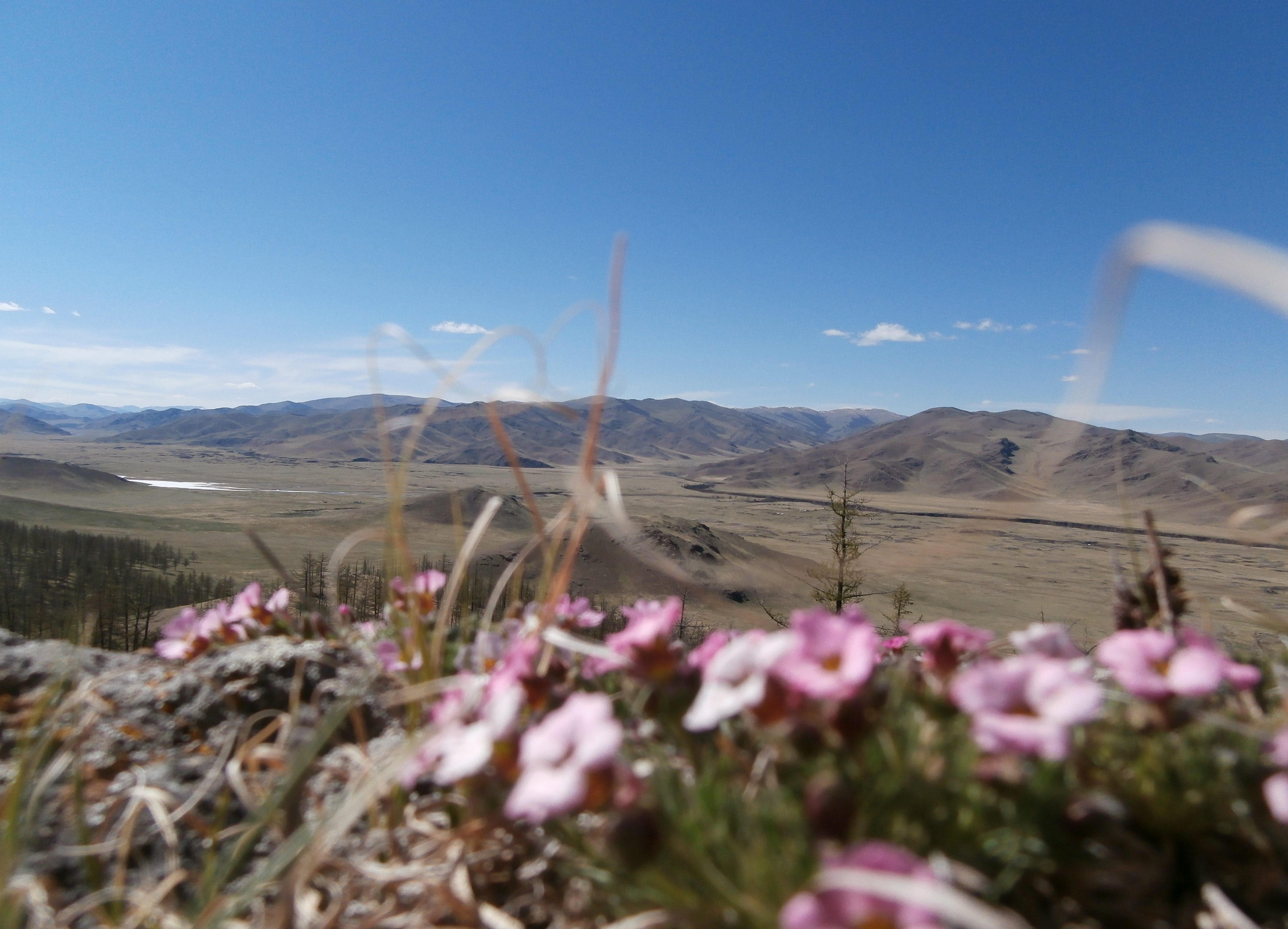 Experience spring in Mongolia in the the Orkhon River Valley, Mongolia. This vast landscape is part of one of Mongolia's four UNESCO World Heritage Sites.