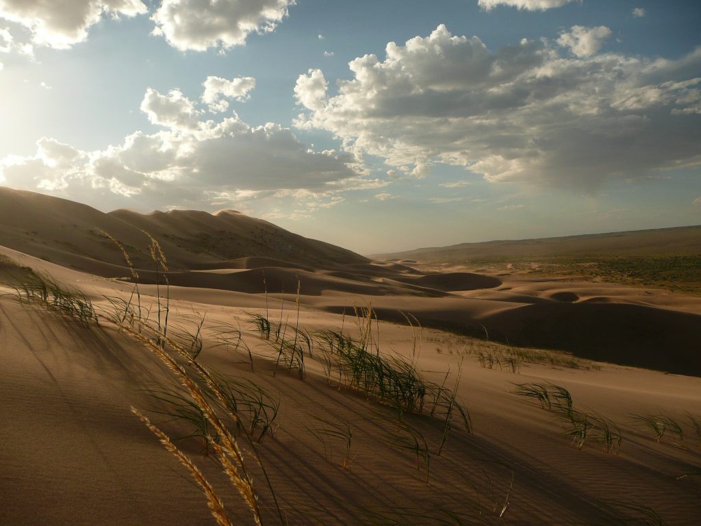 Khongoryn Els Sand Dunes - Gobi Desert - Mongolia