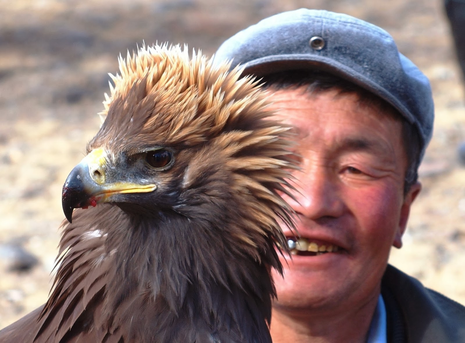 Reasons to visit Mongolia - Kazakh eagle hunter with golden eagle