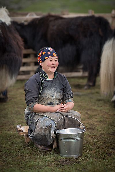 A female Mongolian herder milking her yaks - The Orkhon Waterfall in Mongolia - part of our local travel experiences Mongolia 