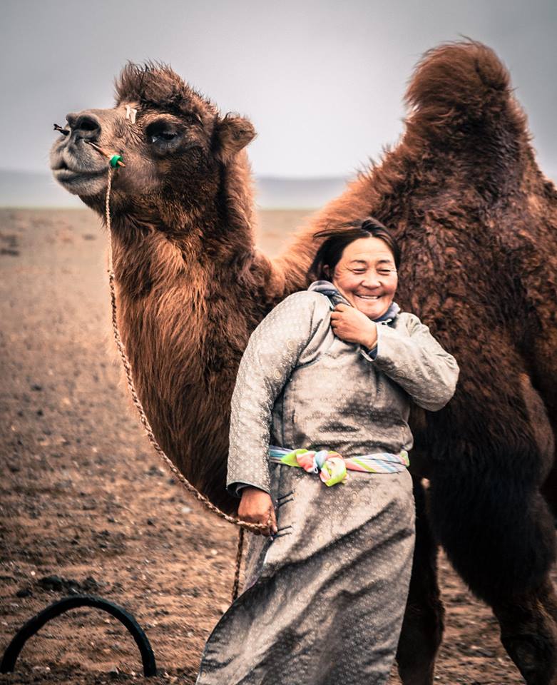 A Mongolian camel herder in Bulgan - location of Mongolia's Thousand Camel Festival