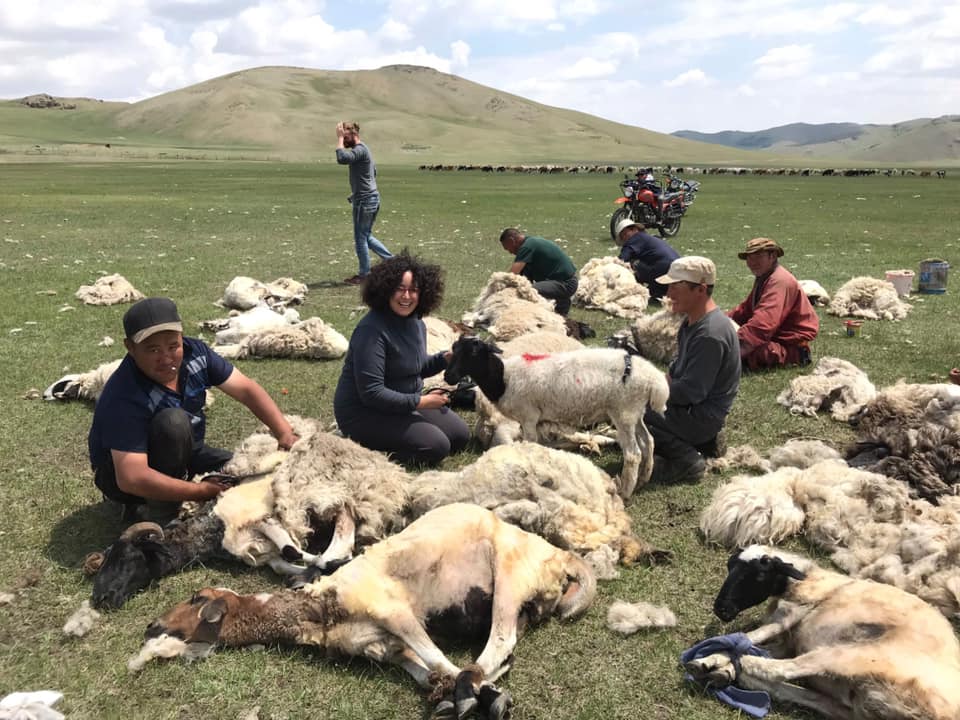 Yak cart trek Mongolia