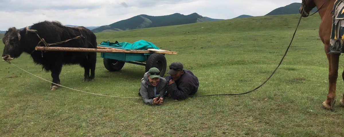 During a yak cart trek in Mongolia