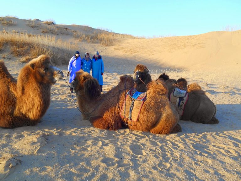 Elsen Tasarkhai Sand Dunes
