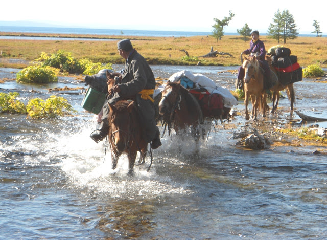 On our how to cross a Mongolian river blog post - crossing a Mongolian river on horseback