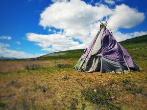 Tsaatan ortz or tent used by Mongolia's reindeer herders during Khovsgol trekking experiences