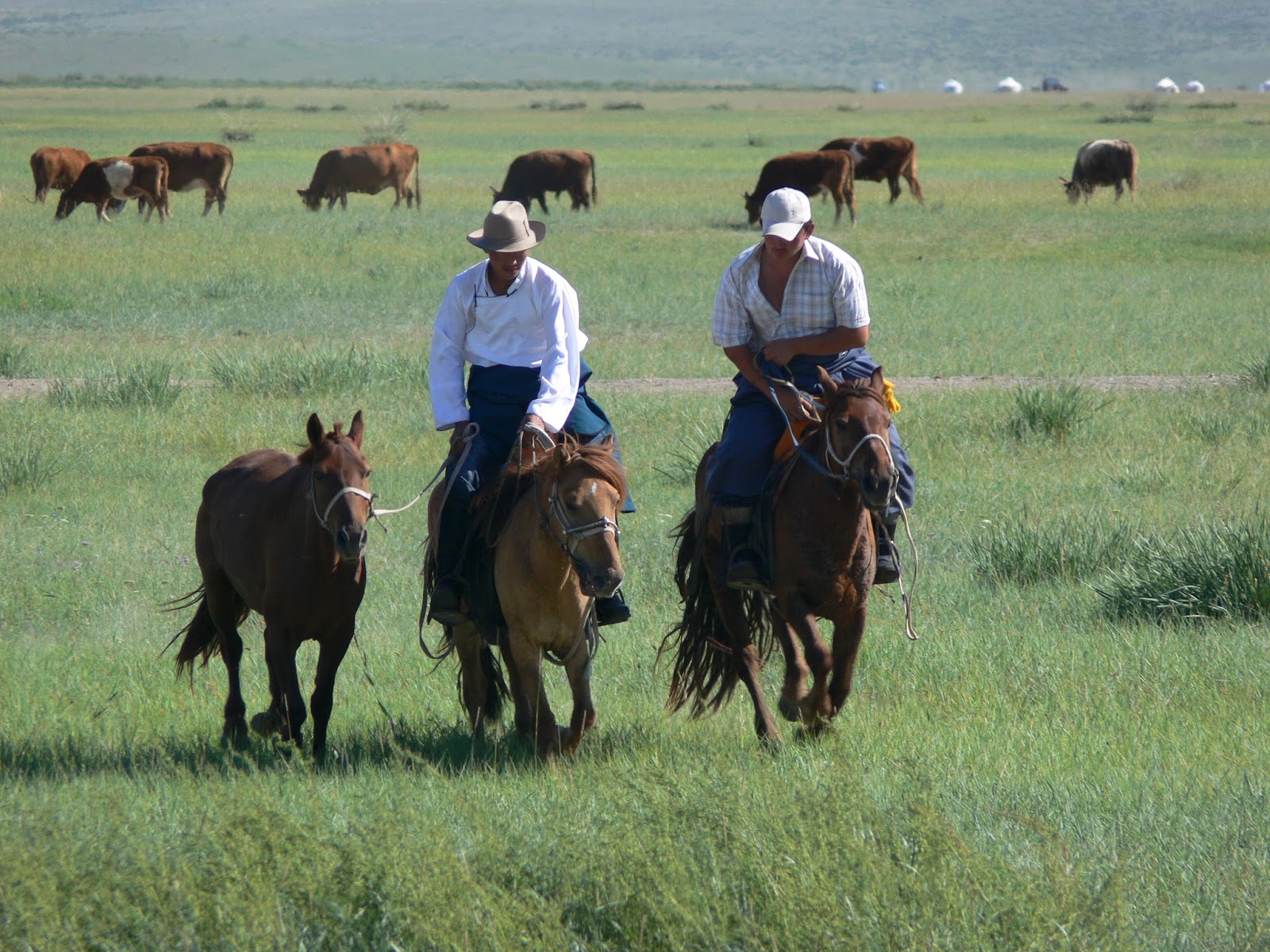 Horsemen, Mongolia
