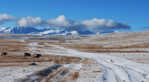 Altai Tavan Bogd National Park Mongolia