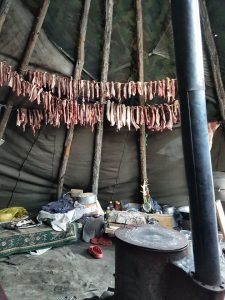 Inside Mongolia's reindeer herders ortz - teepee