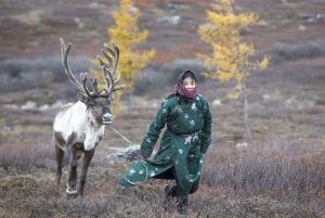 Tsaatan reindeer herder Mongolia's Darkhad Depression