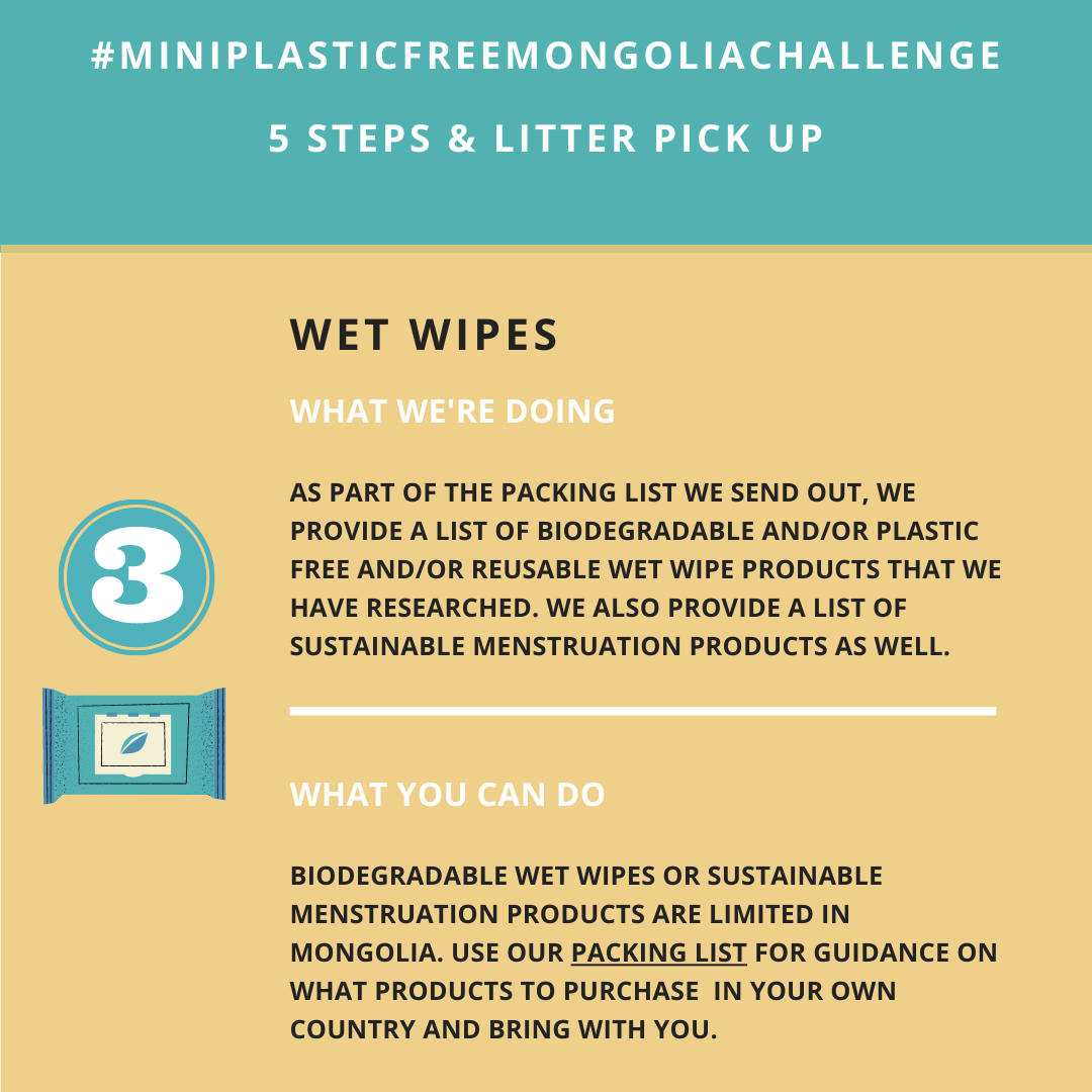Mini Plastic Free Mongolia Challenge - Step Three - Wet Wipes