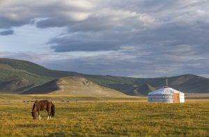 Mongolian ger and horse