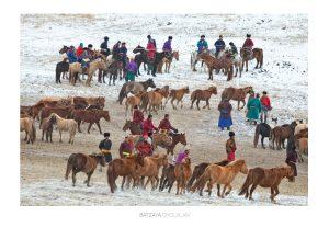 Competing at Horsemen and hunting dogs at Mongolia's Winter Horse Festival