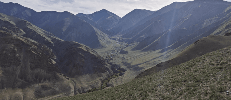 Snow leopard spotting in the mountains