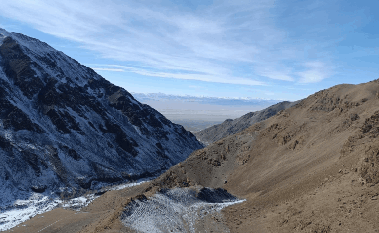 Snow leopard tracking in the mountains