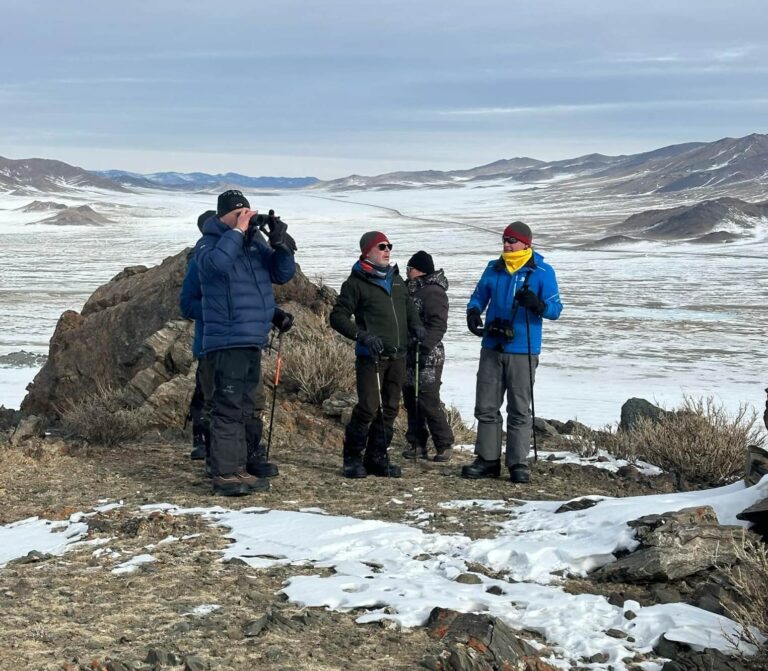 Snow leopard tracking Mongolia